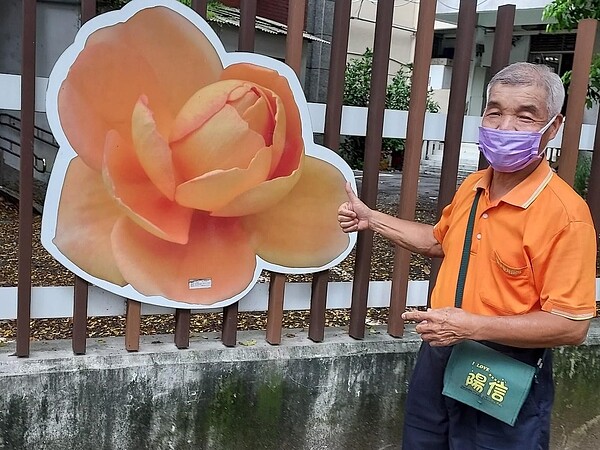 玫瑰是區花，里長宋旭曜將它貼在社子國小圍牆。圖／易小滿攝
