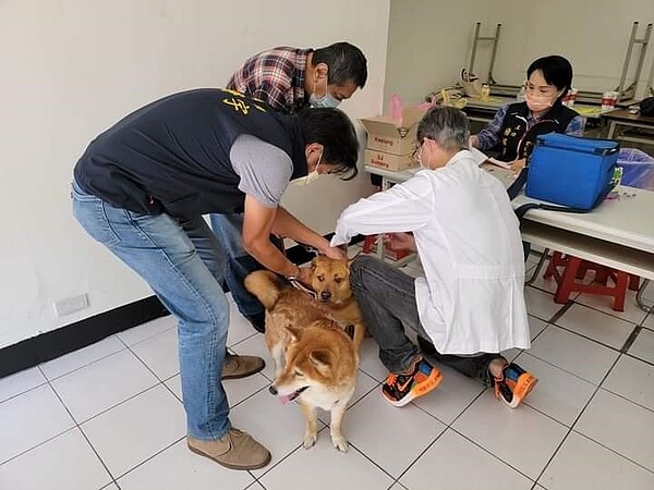 具備專業知識照顧好寵物，社區環境共同維護。圖／易小滿攝
