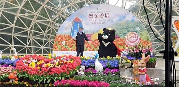 各色鬱金香迎接美好的事情發生。圖／由里辦提供
