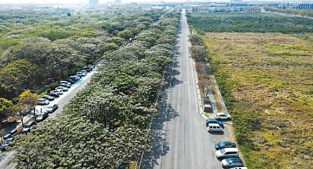 雲林縣政府工務處正進行虎尾高鐵入口處綿延1公里的「虎尾綠園道」工程,預計年底完工,照片最上端即虎尾高鐵站。圖/雲林縣府工務處提供/周麗蘭雲林傳真