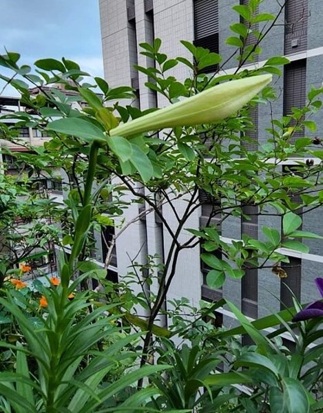 提出環境保護配套和解決方案。圖／易小滿攝


