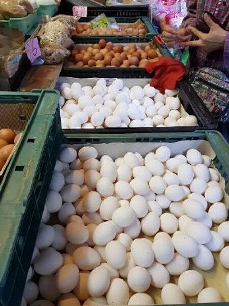 蛋價明起再漲兩元。圖／聯合報