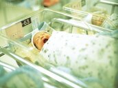 新北市鼓勵生育　第3胎幼兒減免掛號費