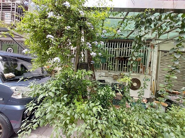 住戶門前植上一抹綠,就很滿足。圖/易小滿攝