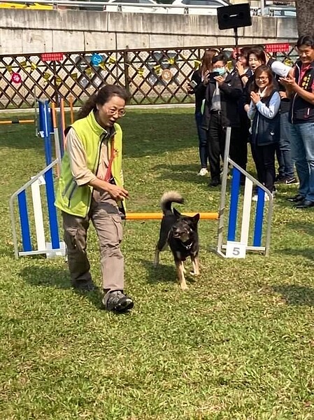 綠色地景「狗狗活動區」。圖/易小滿攝