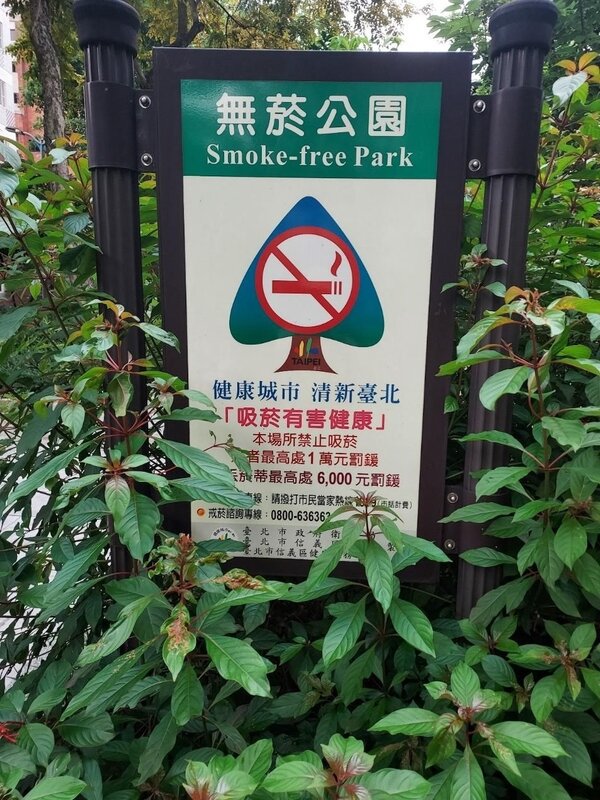 小規模綠化，能做多少算多少。圖／易小滿攝  
