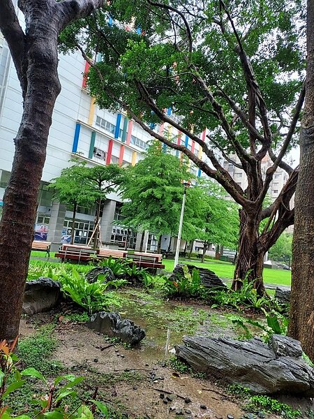 士林區運動中心舉辦寒冬送暖老人關懷活動。圖／易小滿攝
