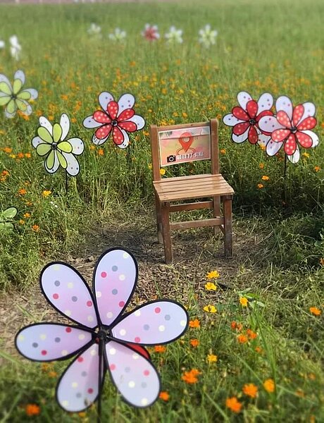 關渡花海節是地方大慶。圖／易小滿攝