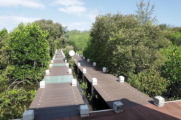 雙春濱海遊憩區紅樹林棧道,生態賞遊新景點。圖/台南市政府提供