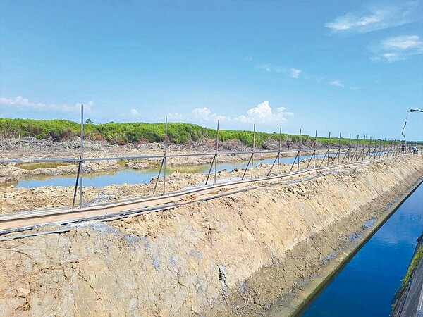 台南市議員陳昆和指七股科技工業區開發案大量紅樹林被砍伐，一邊光禿禿，與另一邊美麗紅樹林形成明顯對比。圖／陳昆和提供