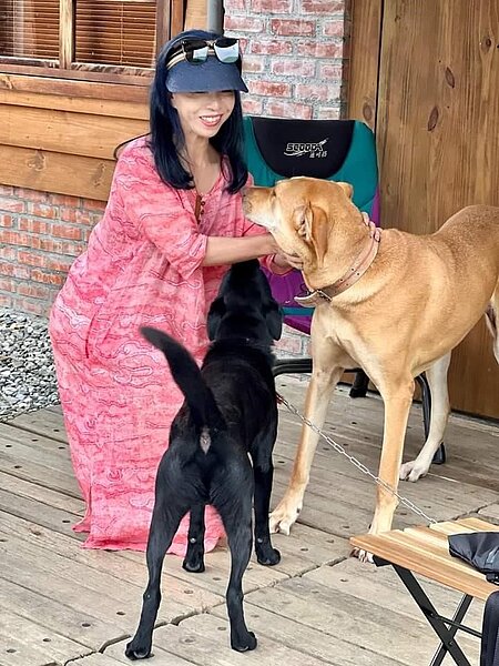 毛小孩要看好,這樣才可愛。圖片由易小滿攝