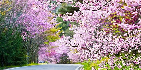 國銀推出各類旅遊優惠活動,幫民眾放大旅遊金。圖/中時電子報
