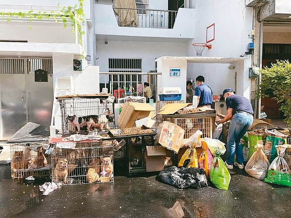 平鎮某民宅疑淪為非法養殖場,桃園市動保處查獲48隻狗。圖/取自黃永欽臉書