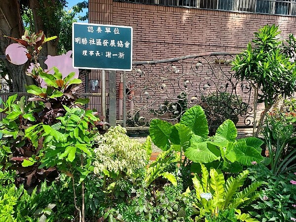 享受著大自然恩澤,呈現最美的融和。易小滿攝