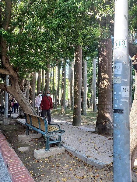 關切世上苦人多。易小滿攝
