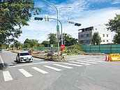 台東道路改善　40年菩提大道消失