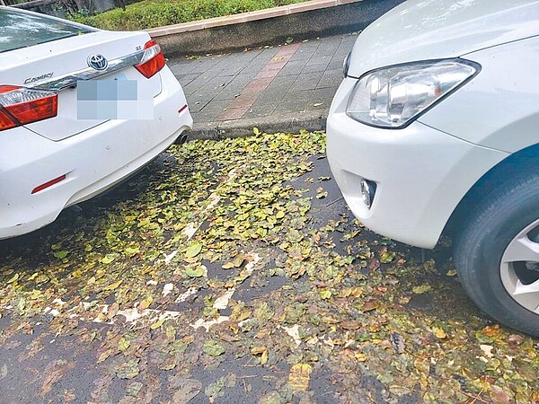 台北市議員王欣儀接獲里長陳情,里內公園、周邊道路近期多日未有人打掃,經查發現今年至今將近2周有624名短期就業人員短缺,導致無人清潔路面,市容髒亂不堪。(台北市王欣儀研究室提供/李奇叡台北傳真)