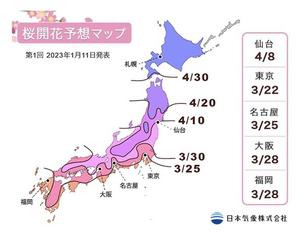 日本氣象株式會社公佈2023年第1回的櫻花開花預測地圖。圖／擷取自日本氣象株式會社