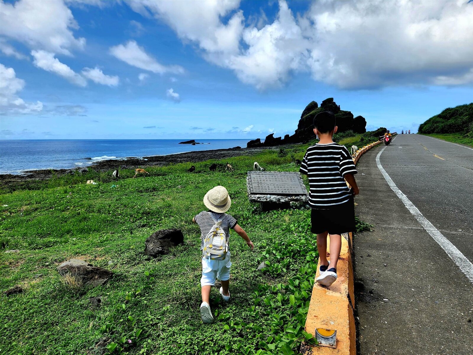 北市17日提早發放0~5歲育兒津貼、就學補助。圖/好房網News記者戴鈺純攝