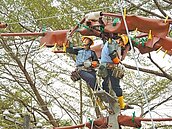 台電版奧運登場　上千人同場較勁