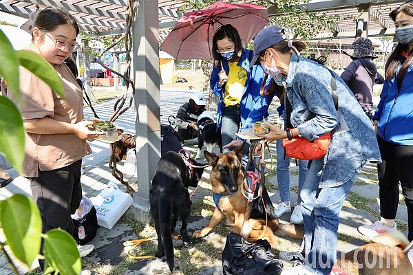 嘉義市首座寵物公園位於綠映水漾公園，上個月已動工，預計4月下旬完工。圖／嘉義市政府提供