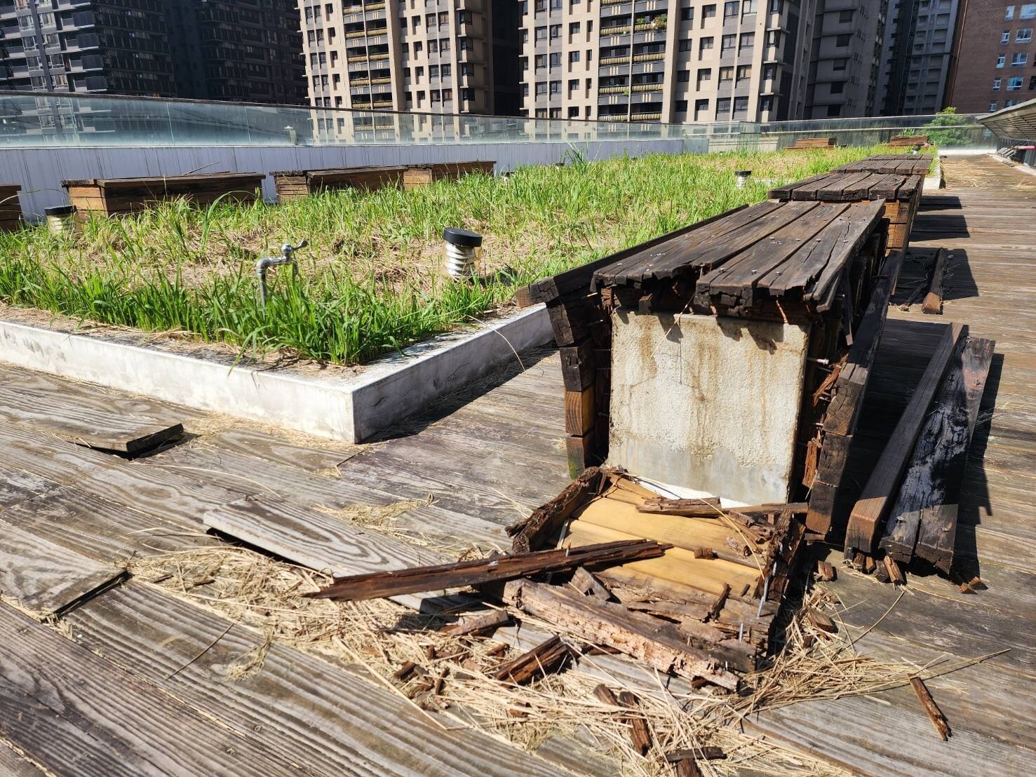 頂樓休憩座椅腐敗木飾掉落露出螺絲釘。記者李定宇/攝影