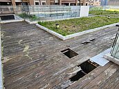 2.14億元建北大行政中心　6年後空中花園殘破如廢墟