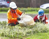 薪資成長M型化　專家籲揭露行情