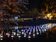 2023月津港燈節開展　來台南賞「城裡的月光」