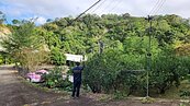 三灣落羽松附近林地將法拍　執行署提醒把握機會撿好康