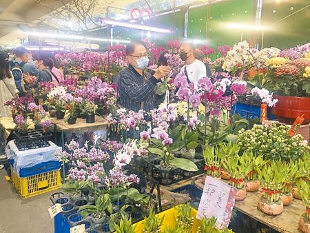 
不少民眾趁著農曆年前走訪台北建國花市，挑選布置用的花卉，迎接新年新氣象。（張芷瑜攝）
