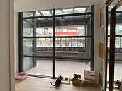 裝潢費暴增近4倍！黃大米曝「這心態」很沒必要