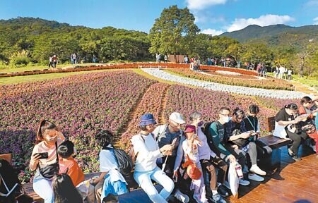 今天是大年初二,全台各地天氣佳,高公局預測車流量將比初一大,達138百萬車公里。圖為北台灣陽光普照回暖,民眾22日在北市三層崎公園欣賞花海。(鄭任南攝)