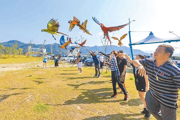 大溪鳥友社團經常在中庄調整池管理中心停車場旁空地放飛鸚鵡，當地鳥友強調，為保護鳥類與行人安全，他們都會挑選較無人車時段放飛，避免對散步民眾造成影響。圖／民眾提供