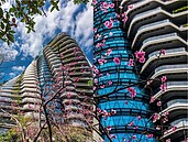 到陶朱隱園賞花燈！開放原因曝光