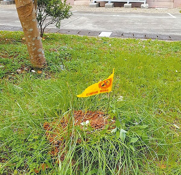 林口區的變電所附近發現紅火蟻蟻丘。（新北市農業局提供／黃敬文新北傳真）
