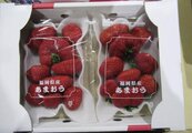 日方回應進口鮮草莓多農藥殘留　食藥署：維持受理報驗