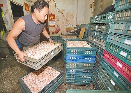 雞蛋每台斤調漲3元突然喊卡,農委會7日召集業者開會,將尊重蛋價評議委員會的決議。圖為北市大同區雞蛋批發商將雞蛋整理歸位。(陳怡誠攝)