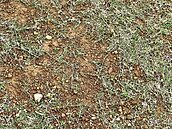 9800萬南寮足球場滿是坑洞碎石　高虹安會勘責成局處提改善方案