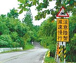 陸蟹要產卵了　墾管處擬封路