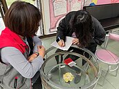 台東續辦低收入戶、身障者租屋補助　最高每年4萬4880元