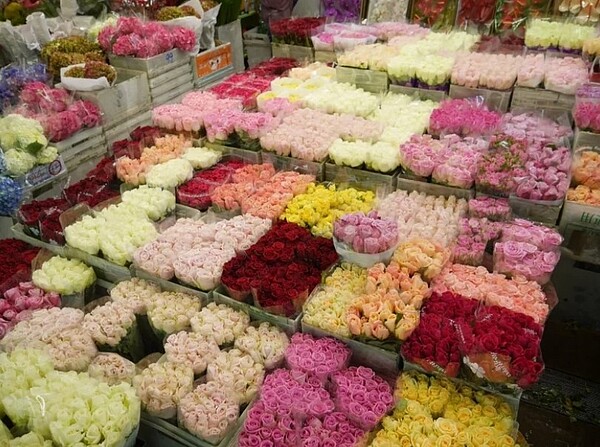 214西洋情人節，象徵愛情的玫瑰花最受情人喜愛。圖／台北花市提供
