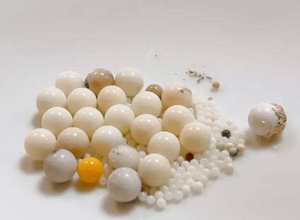 佛光山表示,星雲大師舍利子色澤多為法乳般淨白,且圓滿光滑。圖/妙熙法師提供