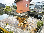 竹北翁厝圳遭排油汙　吸油棉片釀二次汙染