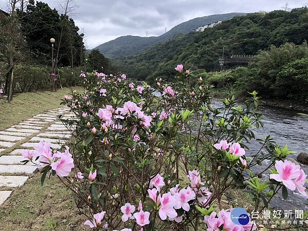 2023萬金杜鵑花展即將於2/25登場，將由20位藝術家聯手打造「移動花聚落」