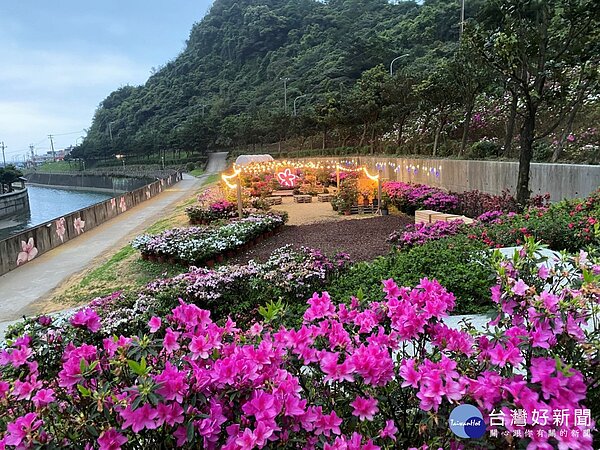 2023萬金杜鵑花展即將於2/25開展