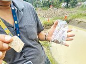 疑挖到4千年前文物　台南特色遊戲場延工