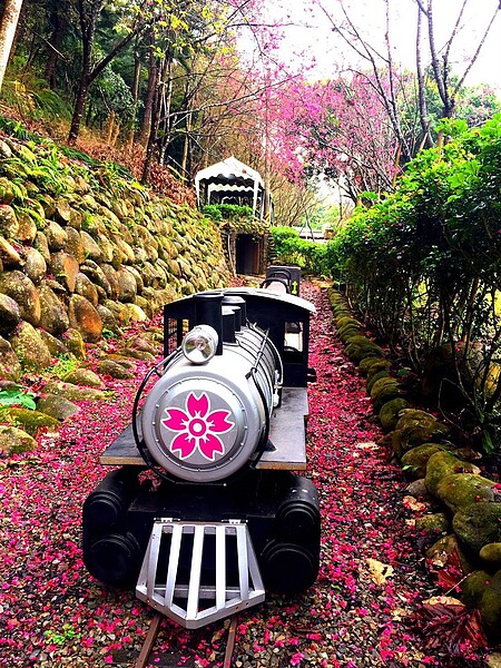 園區小火車體驗。圖/台中市經發局提供