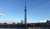 日本3月1日放寬陸旅客入境限制　落地全面篩檢改隨機抽檢