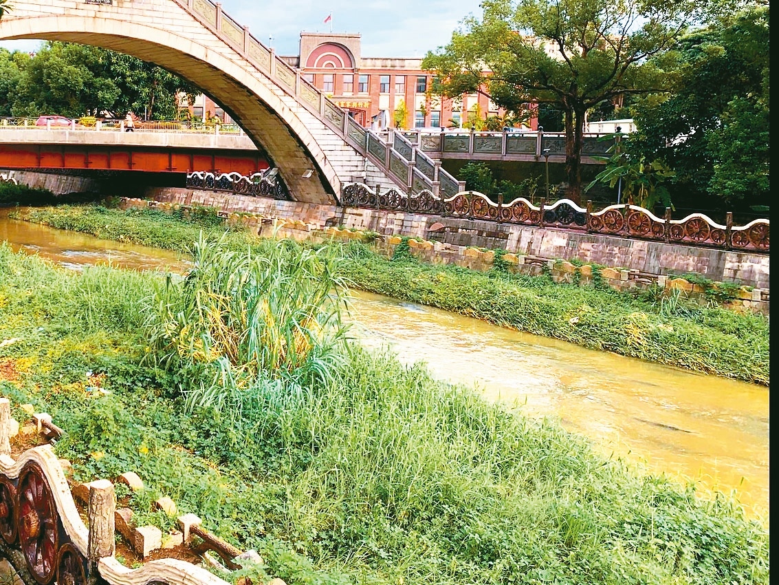 豆子埔溪變黃色泥水河，居民氣憤上游建築工地常不照規定排放汙水。記者巫鴻瑋／攝影 